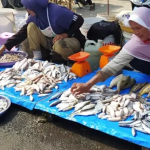 Harga Ikan Laut di Bengkulu Mahal, ini Penyebabnya