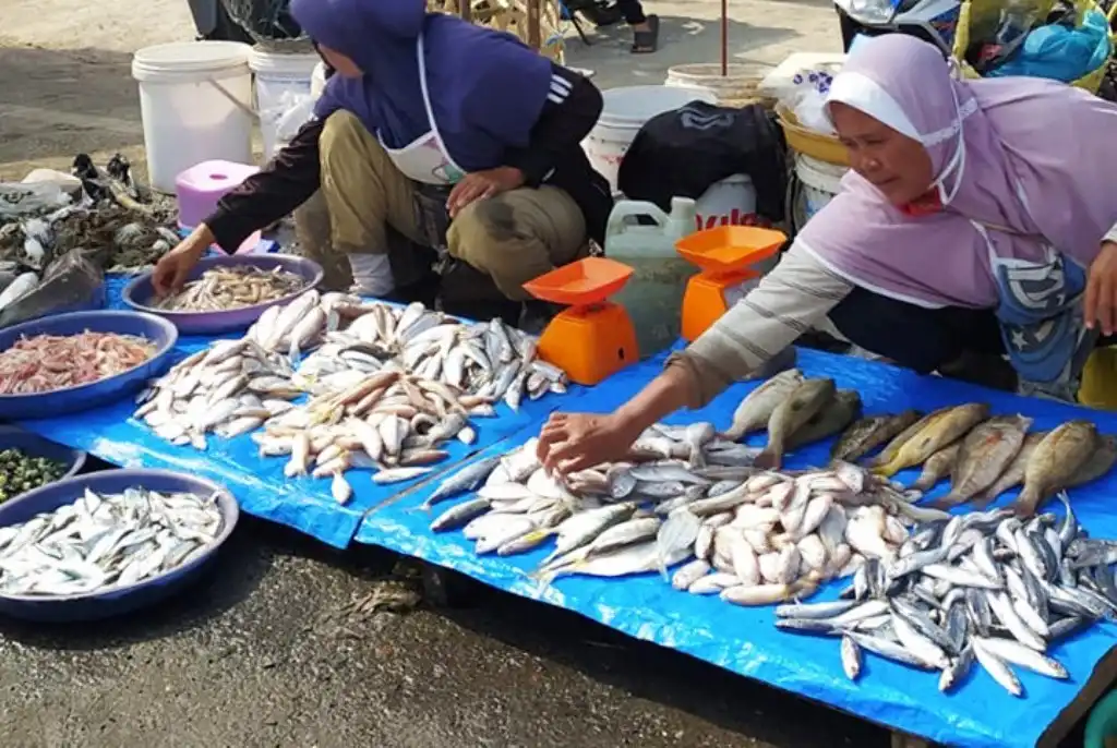 Harga Ikan Laut di Bengkulu Mahal, ini Penyebabnya