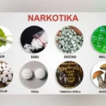 Hingga September 2022 Ada 51 Kasus Narkotika Di Karimun, Menurun Atau Meningkat?