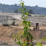Jalan Provinsi Dijadikan Lahan Tambang, PT Injatama dan Gubernur Bisa Dipidanakan