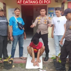 Polsek Bengko Tangkap Supir Bawa Sabu dan Sajam