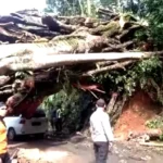 Sempat Macet Karena Pohon Tumbang, Liku Sembilan Bisa Dilalui