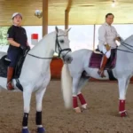 Signal 2024, Prabowo Siapkan Kuda Spesial Untuk Puan