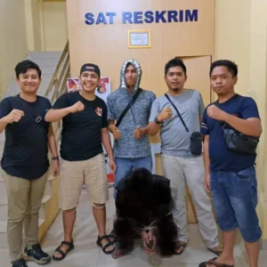 Terduga Pelaku Pencabulan Pada April 2021 Lalu Akhirnya Tertangkap