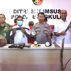 Perambah Hutan