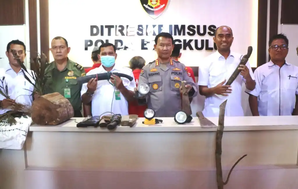 Perambah Hutan