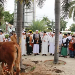 Gubernur Bengkulu Serahkan Hewan Kurban Usai Sholat Idul Adha Gubernur Bengkulu Serahkan Hewan Kurban Usai Sholat Idul Adha