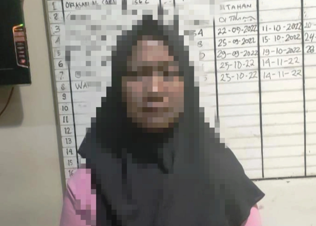 Ibu Rumah Tangga Ini jadi terduga pelaku pencurian