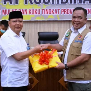 Kasus PMK Masih Tinggi, Hanya Pemprov dan Mukomuko Yang Membentuk Satgas PMK