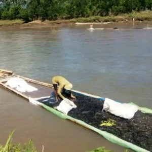 Langkah Gubernur Bengkulu Dianggap Keliru, Walhi Tolak Terlibat Pokja Walhi tolak tawaran Gubernur Bengkulu