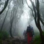 Pamit Hendak Menambang Emas, Dua Warga Lebong Hilang di Hutan