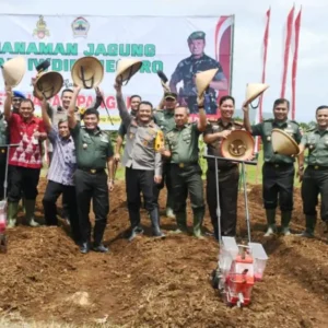 Pangdam Diponegoro Gandeng Forkopimda Jateng Tanam Jagung Pangdam Diponegoro Gandeng Forkopimda Jateng Tanam Jagung