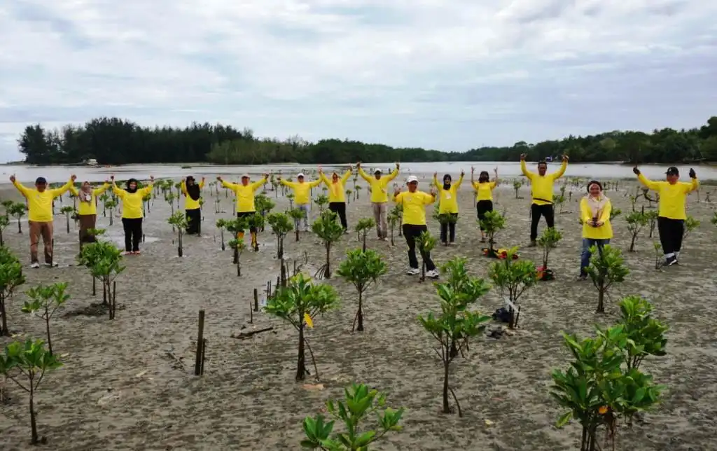 Peringati Hari Mangrove Internasional, Gubernur Rohidin Tanam 15 Ribu Bibit