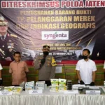 Polda Jateng Musnahkan BB Bibit Jagung Jagung