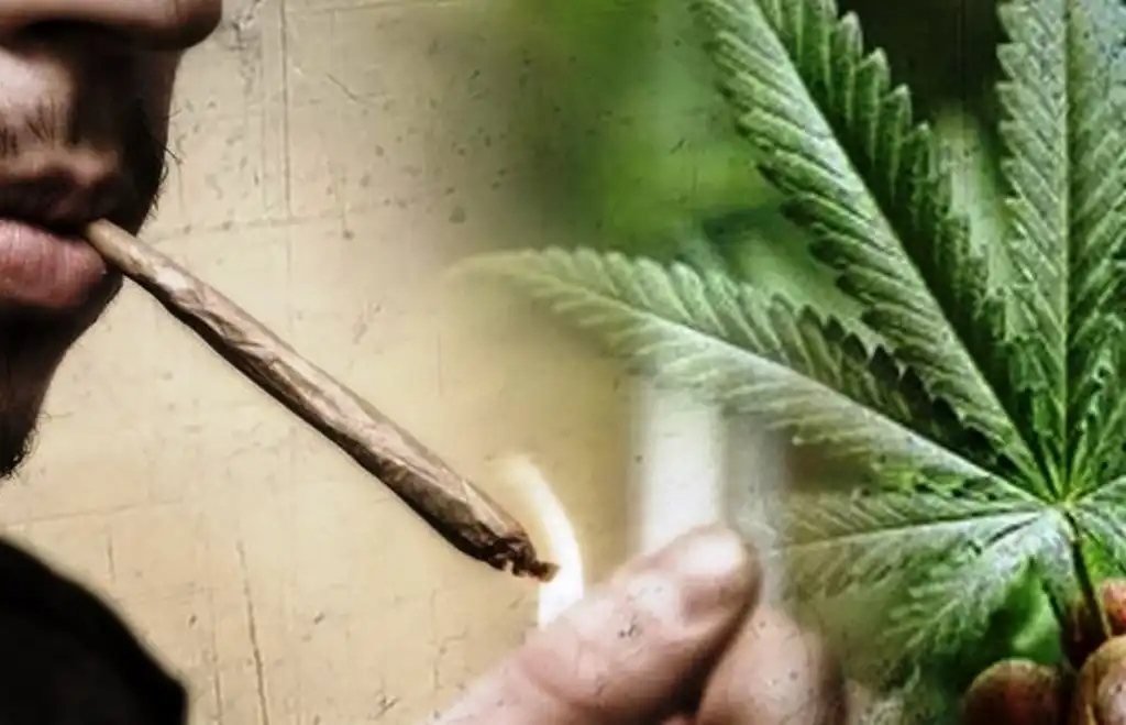 Simpan Ganja Dalam Tas, Mahasiswa Diringkus Polisi Saat Di Kampus