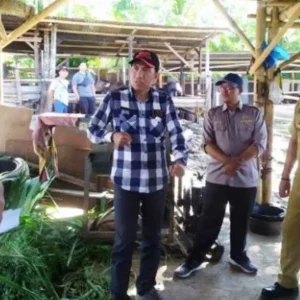 Anggota DPRD Kota Bengkulu Bersama Dispertan Monitoring Cegah PMK