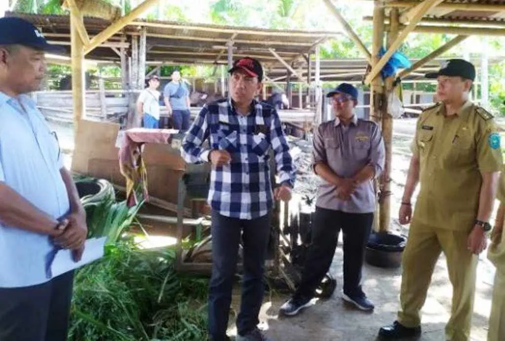 Anggota DPRD Kota Bengkulu Bersama Dispertan Monitoring Cegah PMK