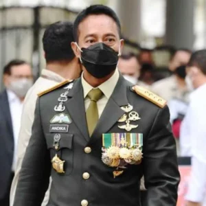Panglima TNI
