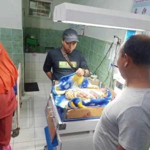 Bayi-Jepara