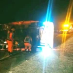 5 Kendaraan Tabrakan Beruntun di Tol, Truk Muat Sapi Terguling