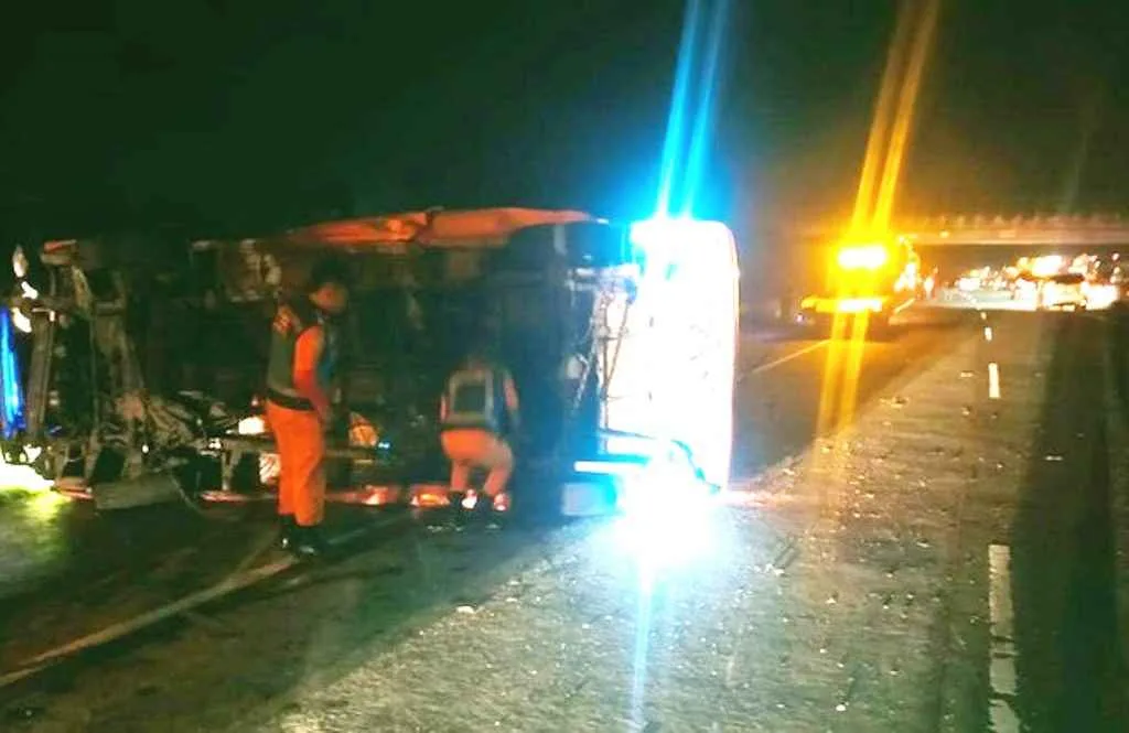 5 Kendaraan Tabrakan Beruntun di Tol, Truk Muat Sapi Terguling