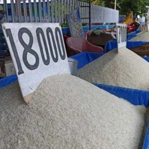 Akibat Pupuk Langka, Harga Beras di Bengkulu Melonjak