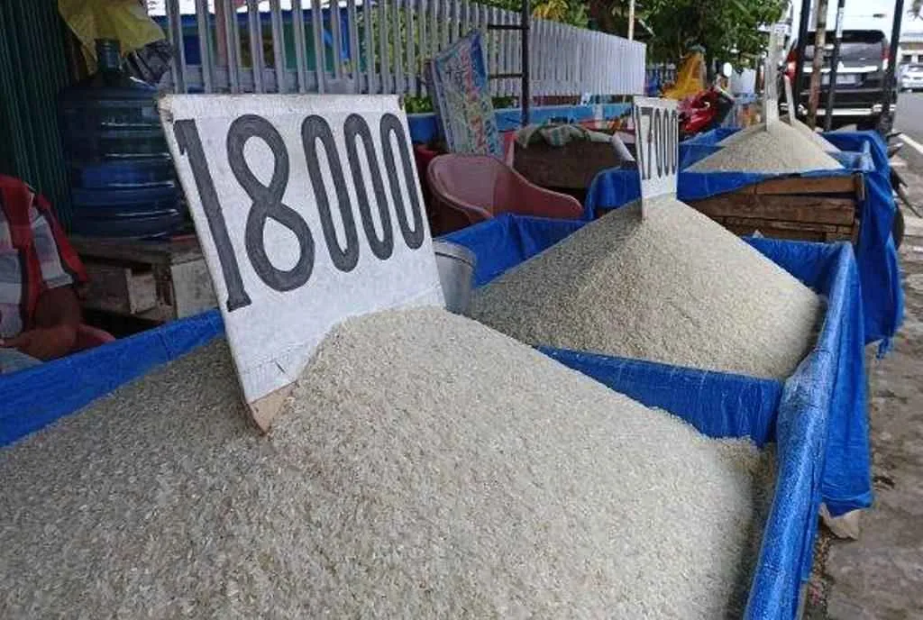 Akibat Pupuk Langka, Harga Beras di Bengkulu Melonjak