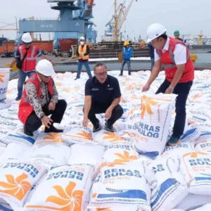 Beras Impor Milik Bulog Asal Vietnam Tiba