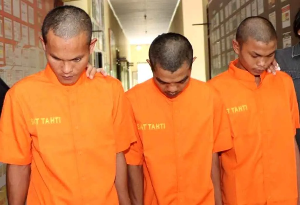 Ganja Seberat 7 Kg Siap Edar Berhasil Digagalkan Polres Kepahiang