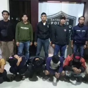 Pekat Nala II 2022 Polda Bengkulu 117 Orang Diamankan Pekat Nala II 2022 Polda Bengkulu 117 Orang Diamankan