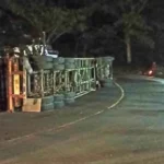 Truk Trailer Muatan Triplek Terguling di Tikungan Kalimalang