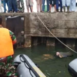 Mayat Tanpa Identitas Mengapung di Pulau Baai