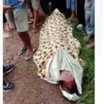 Mayat Wanita Tanpa Busana Ditemukan Mengapung di Sungai Brebes