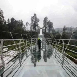 Wagub Jatim Berharap Jembatan Kaca Bromo Beri Manfaat Warga Setempat