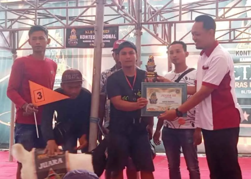 Gelar Kontes Kambing Etawa, Direktur Marketing Kampung Coklat Ngaku Senang