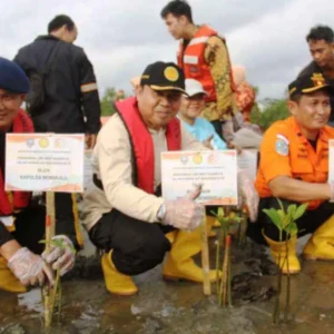 Jaga Alam, Pemprov Bengkulu Tanam Mangrove di Pesisir Pantai