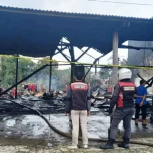 Kebakaran di Hibrida, Dua Showroom Mobil Hangus