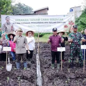 Kendalikan Inflasi, Pemkot Batu Tanam Ribuan Bibit Cabai Kendalikan Inflasi, Pemkot Batu Tanam Ribuan Bibit Cabai