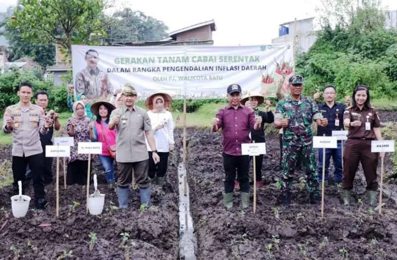 Kendalikan Inflasi, Pemkot Batu Tanam Ribuan Bibit Cabai