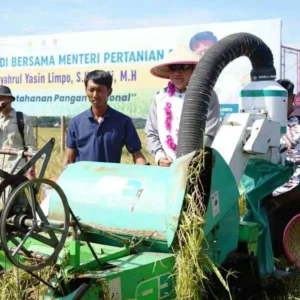 Kolaborasi Pemerintah Pusat dan Daerah Tingkatkan Ketahanan Pangan Bumi Rafflesia