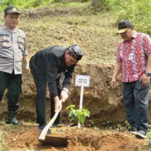 Peringati HPN dan HUT PWI Ke-77, PWI Brebes Tanam 5 Ribu Pohon