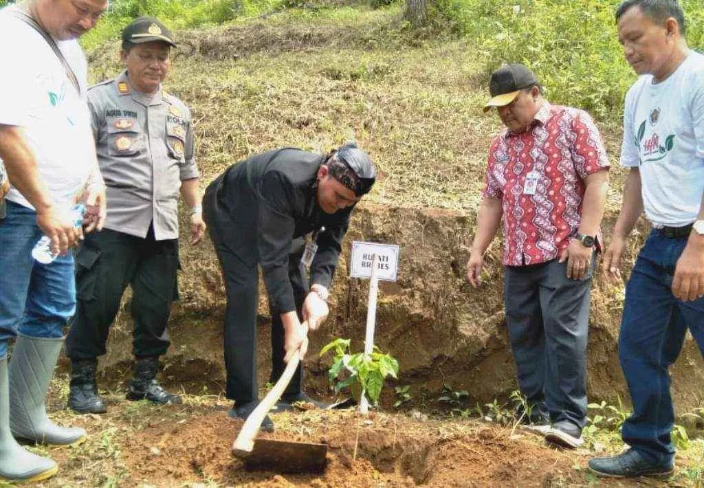 Peringati HPN dan HUT PWI Ke-77, PWI Brebes Tanam 5 Ribu Pohon