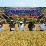 Ikut Panen Raya, Bupati Sanusi : Wujudkan Tani Tangguh Malang Makmur