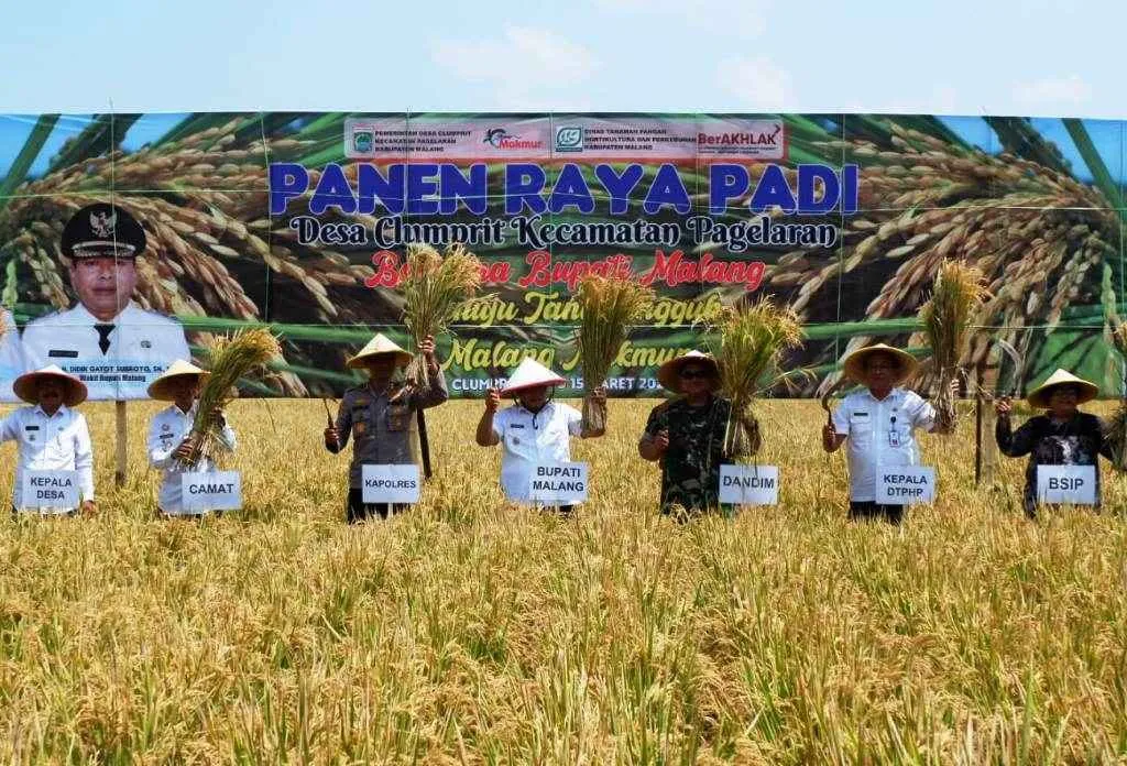 Ikut Panen Raya, Bupati Sanusi : Wujudkan Tani Tangguh Malang Makmur