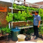 Lurah Kramas Berdayakan Warga Dengan Urban Farming