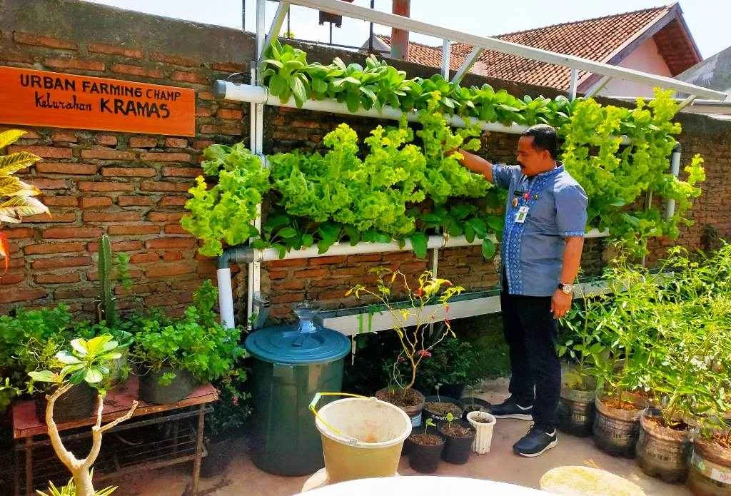 Lurah Kramas Berdayakan Warga Dengan Urban Farming