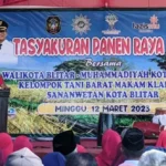 Panen Raya, Wali Kota Blitar Dorong Kolaborasi Petani dan Pemda