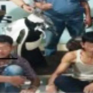 Parkir di Teras Rumah, Motor Warga Selebar Dimaling