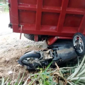 Pengendara Motor Tewas Tertabrak Truk Muatan Sawit