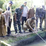 Pj Bupati Benteng Panen Raya Ikan Nila
